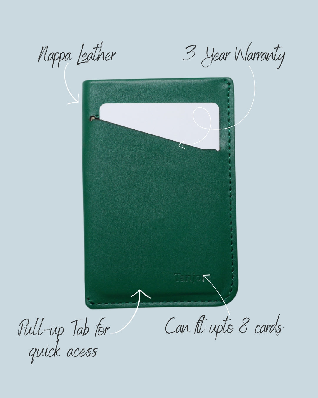 Card Case Nappa Leather Wallet