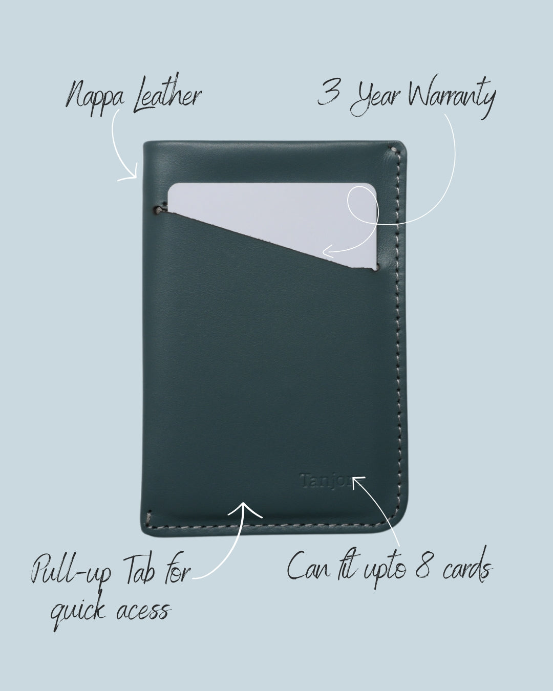 Card Case Nappa Leather Wallet