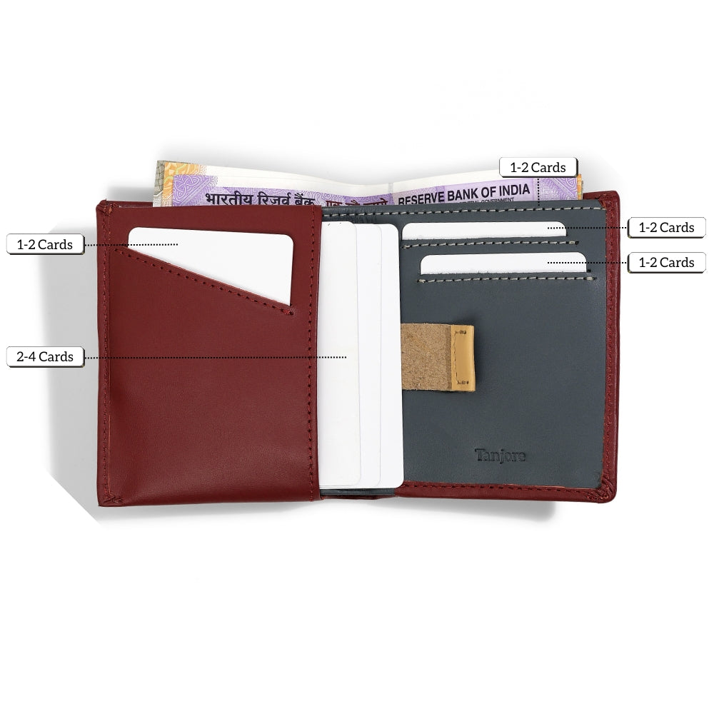 Infographic showing card capacity for the Plum Tanjore Reserve Sleeve. Breakdowns show multiple slots holding 1-4 cards each. Features a Pull Tab and RFID protection in Full Grain Nappa Leather.